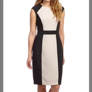 Block Sheath Dress